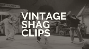 Vintage Shag Clips 1 Vintage Shag Clips